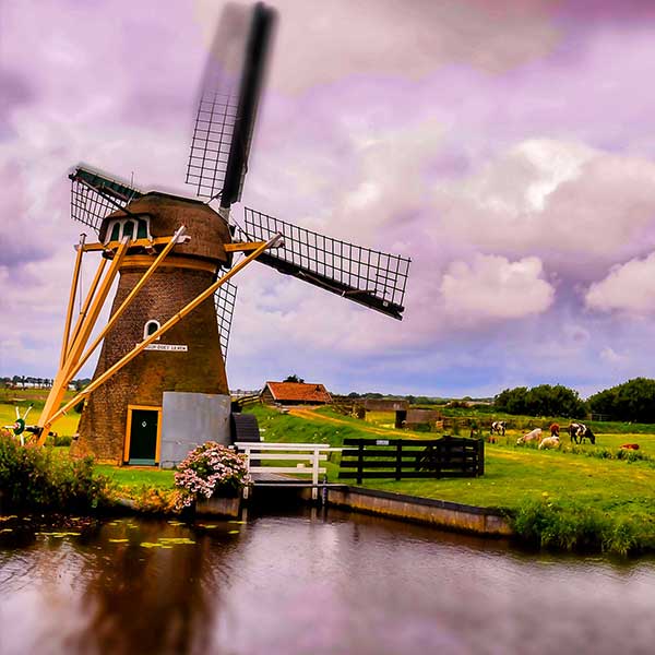 Study in the Netherlands